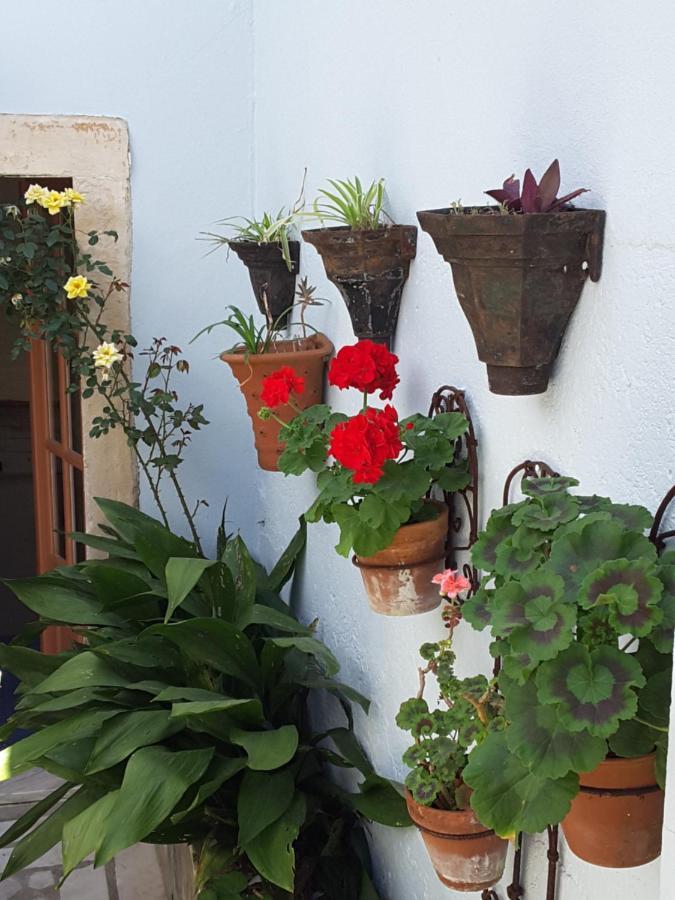 Rua Das Rosas 22/B&B Фигейра да Фош Екстериор снимка